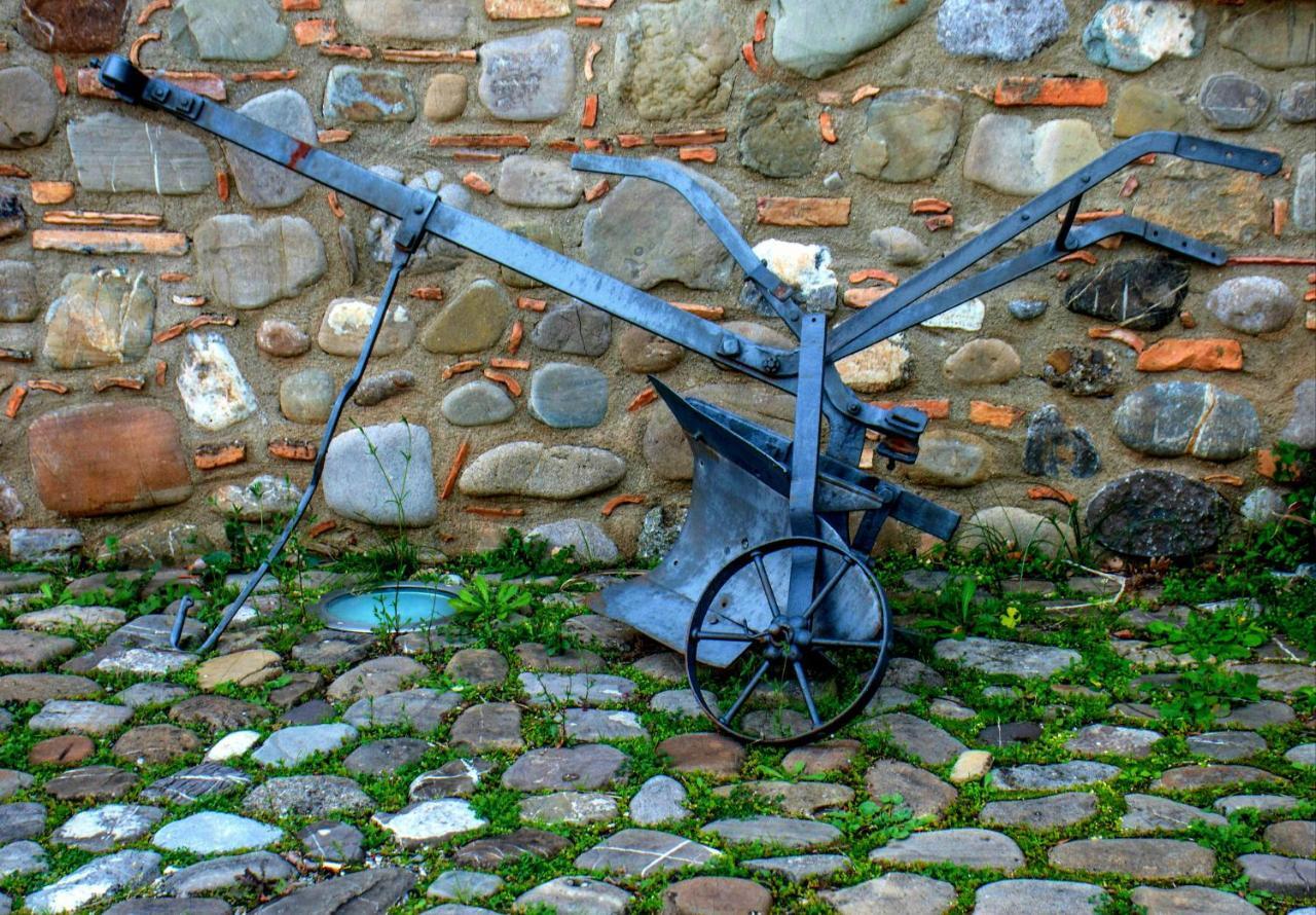 La Masseria Lolivia 塞尼塞 外观 照片